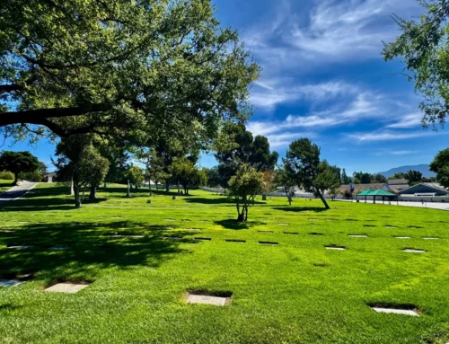 Now Hiring: Groundskeeper