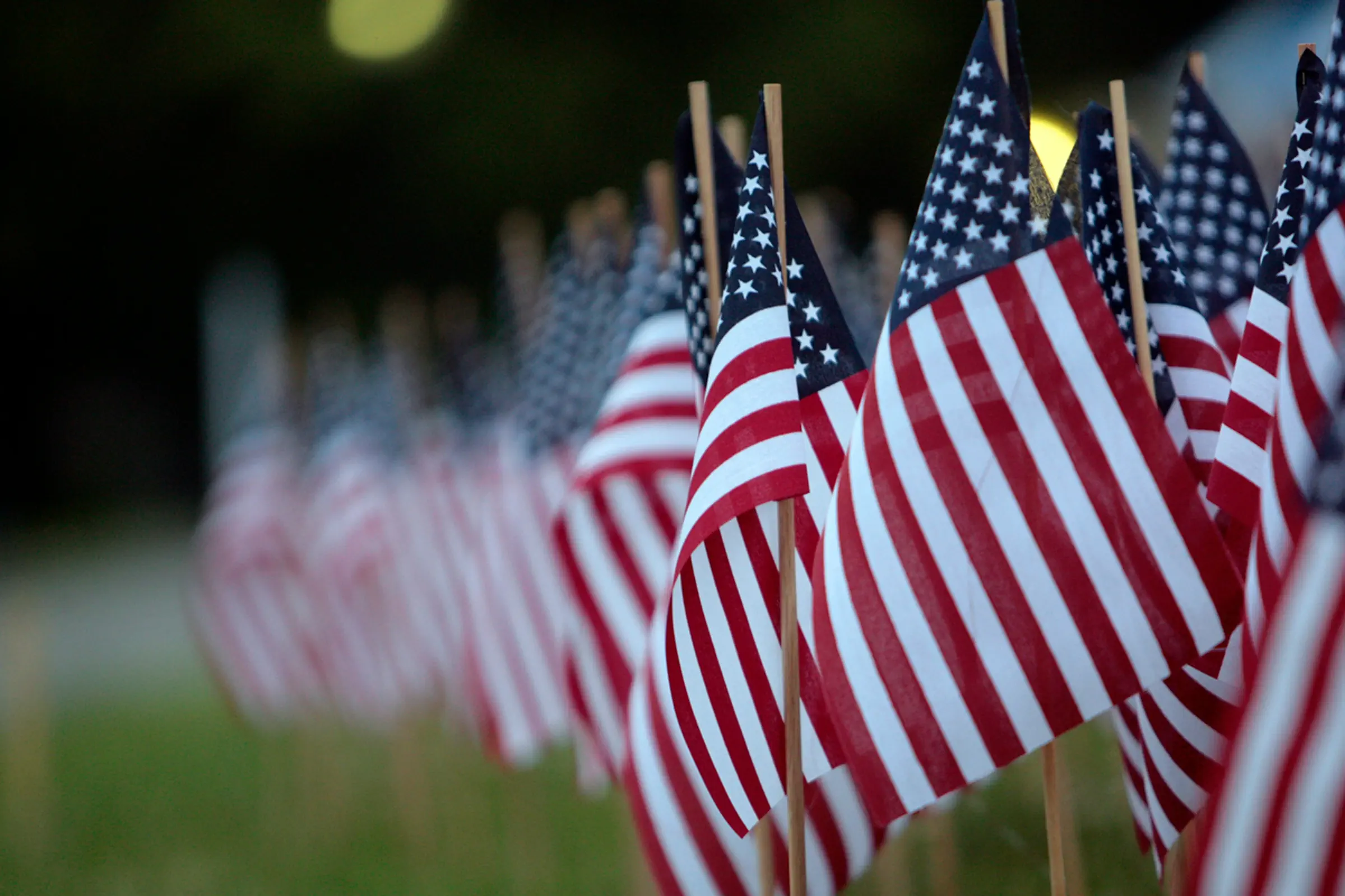 Veteran flags