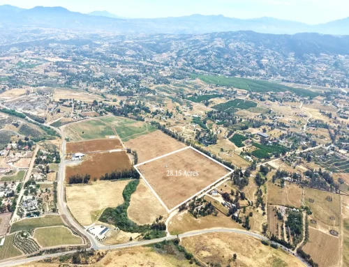 New Wine Country Cemetery – Update
